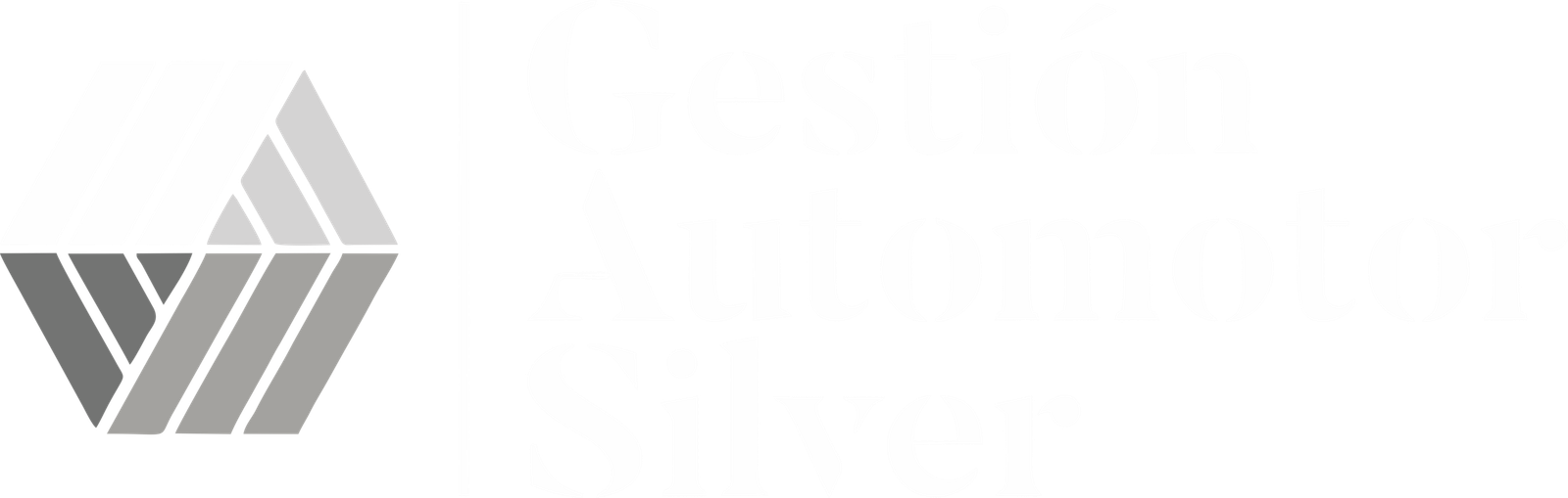 Gestion Automotor Silver