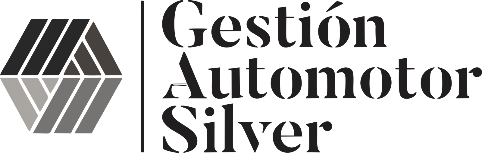 Gestion Automotor Silver